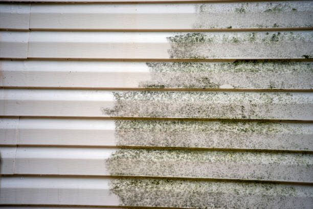 Best Attic Cleanout  in Clearlake, CA